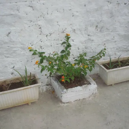 Guest house Sofies Choice Monokatoikia Chalkida